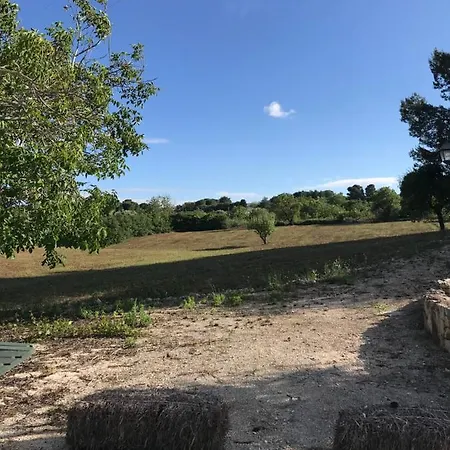 בית כפרי Trullo The Queen מרטינה פרנקה